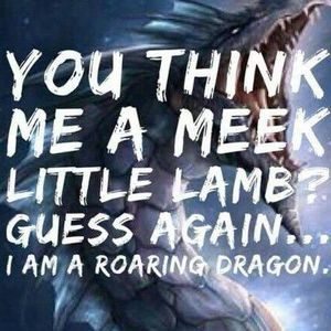 Meet your Posher, Ann